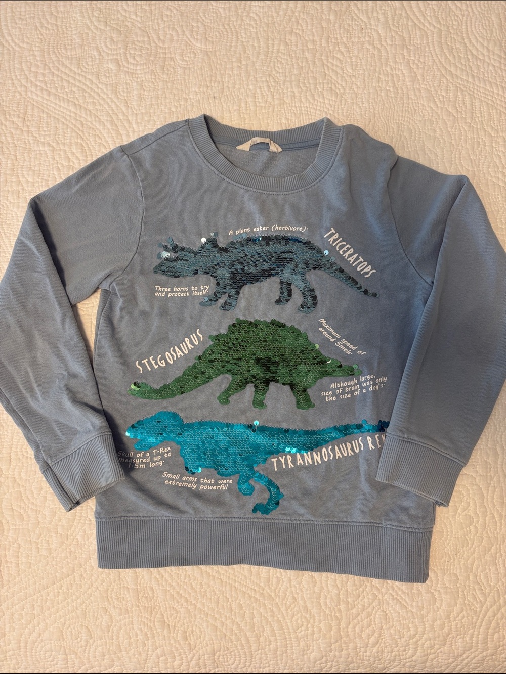 H&M Blue Kids' Dinosaur Sequin Sweatshirt - Teal, Green, Black Accents